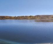 (出售) 多種經(jīng)營(yíng)養(yǎng)殖場(chǎng)和水庫(kù)出售，適合養(yǎng)殖，環(huán)境好無污染，價(jià)格面議