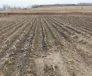 (出售) 平房出租出售,占地面積廣,可適合做養殖 汽配