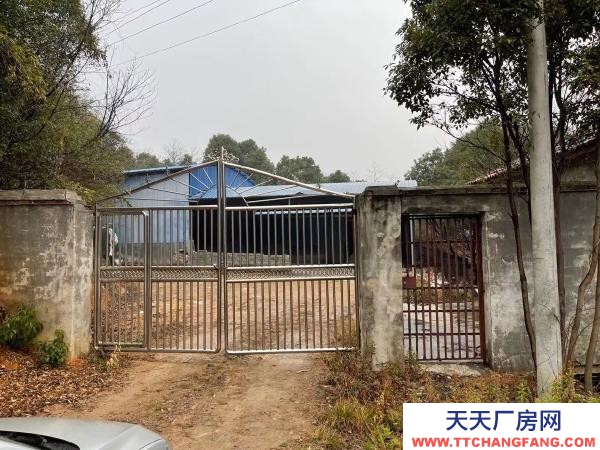 岳陽市岳陽區 107國道旁，往新開方向五百米！