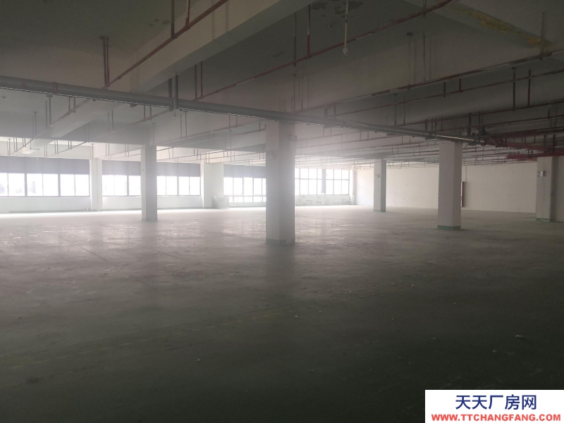 湖州童裝生產廠房出租,整層1374平方,3部電梯可用,園區直租不收中介費