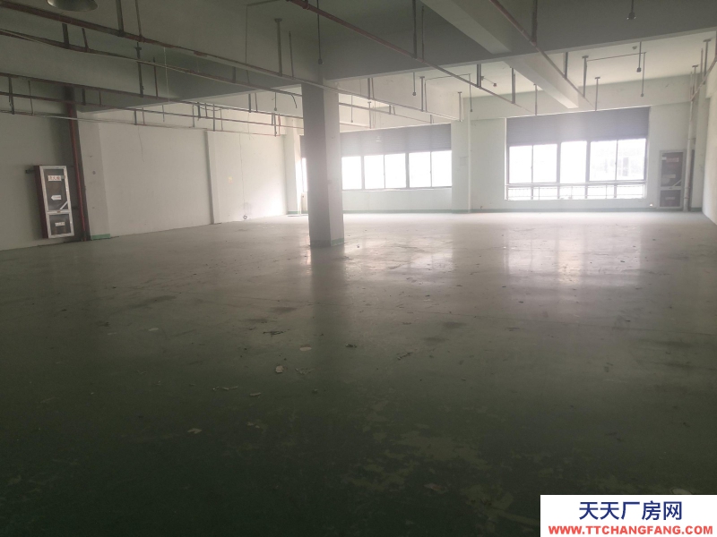 湖州童裝生產廠房出租,整層1374平方,3部電梯可用,園區直租不收中介費