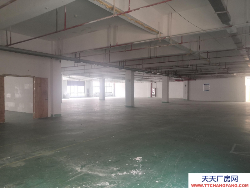 湖州童裝生產廠房出租,整層1374平方,3部電梯可用,園區直租不收中介費