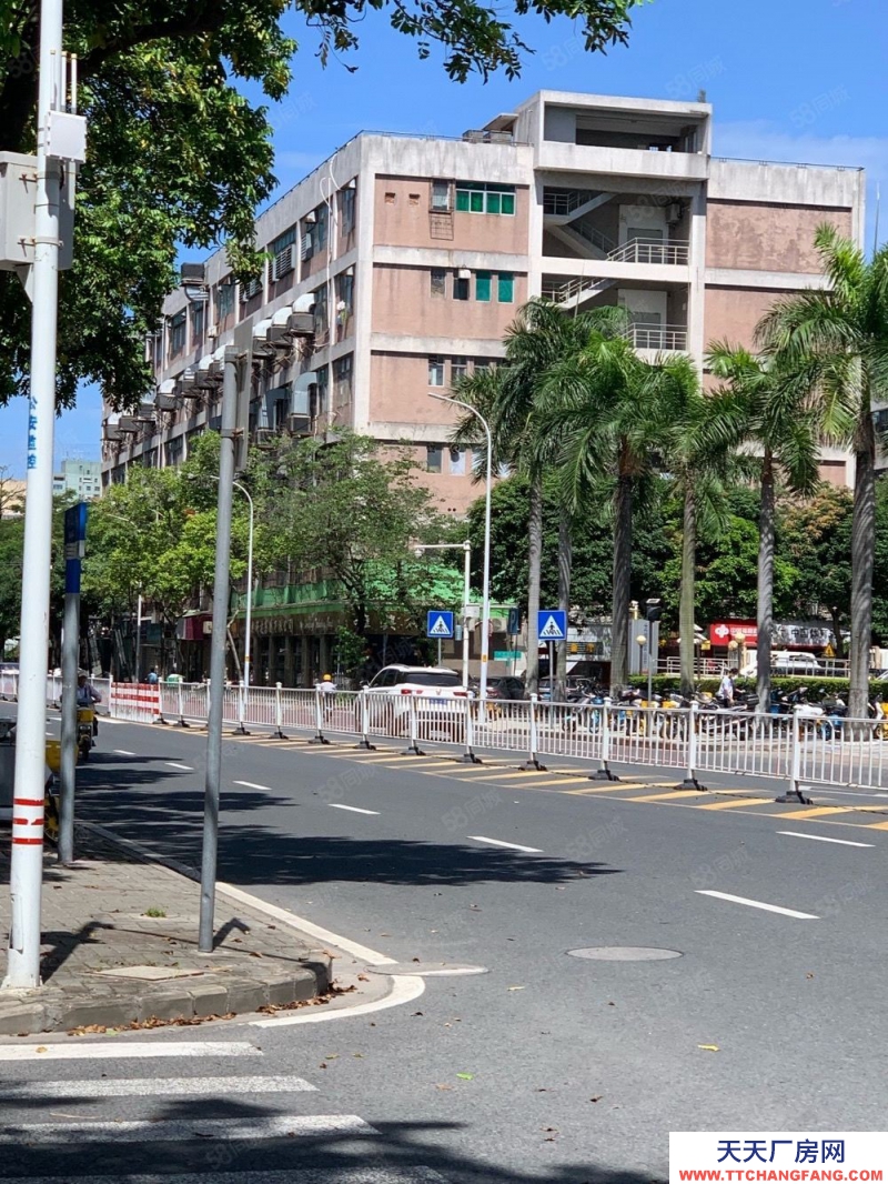 (出租) 汕頭龍湖工業(yè)區(qū)1復(fù)2 3000平 正臨長江路 適合各種行業(yè)經(jīng)營