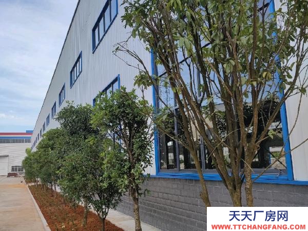 岳陽市平江區 全新標準化廠房，配套辦公室和宿舍。