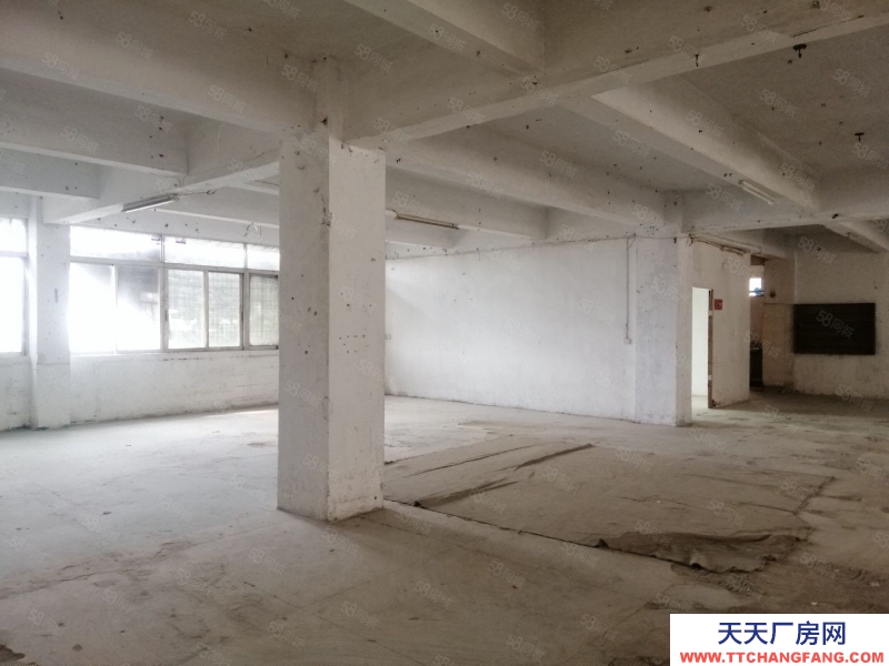 (出租) 汕頭直接業(yè)主，鳳凰山路近東廈 龍溪路 泰華工業(yè)區(qū)，正規(guī)廠房