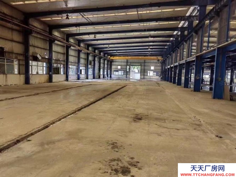 (出租) 汕頭金園工業(yè)區(qū)正規(guī)廠房 大小都有