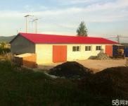 (出售) 出租，出售均可。在前二道鄉山前村。