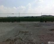 (出售) 出租，出售均可。在前二道鄉山前村。