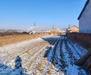 (出售) 永安村現(xiàn)有廠房長期出租