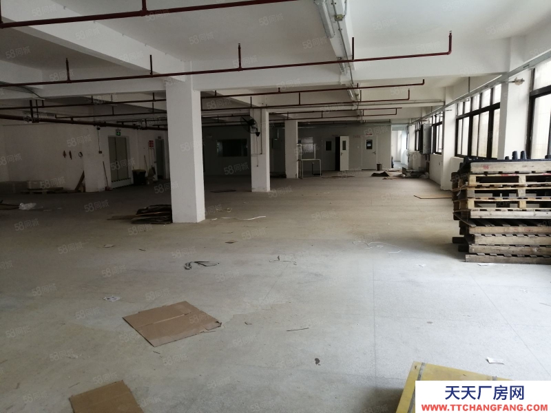 (出租) 汕頭大學路升平工業(yè)區(qū)獨立門戶二三四樓約2500平，有人貨電梯