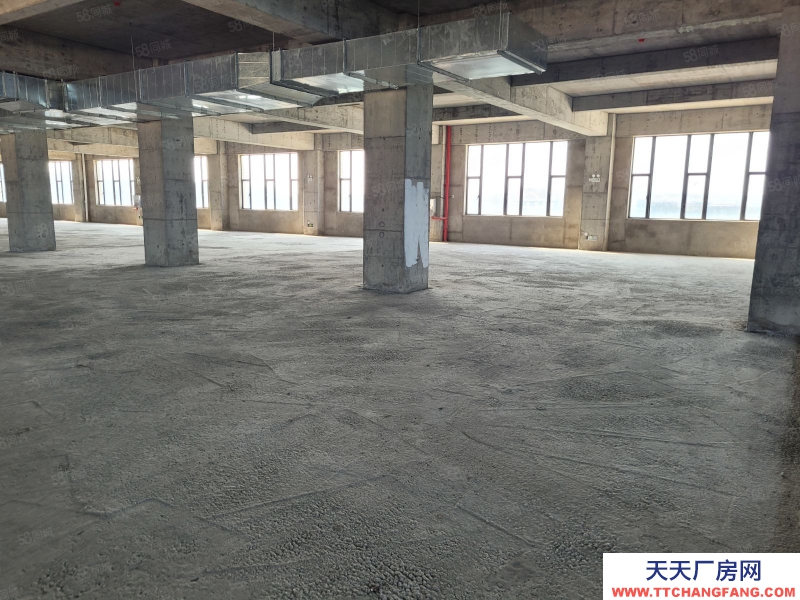 (出租) 汕頭濠江保稅區(qū)15000平可分割出租,1樓層高12米配有天車地磅