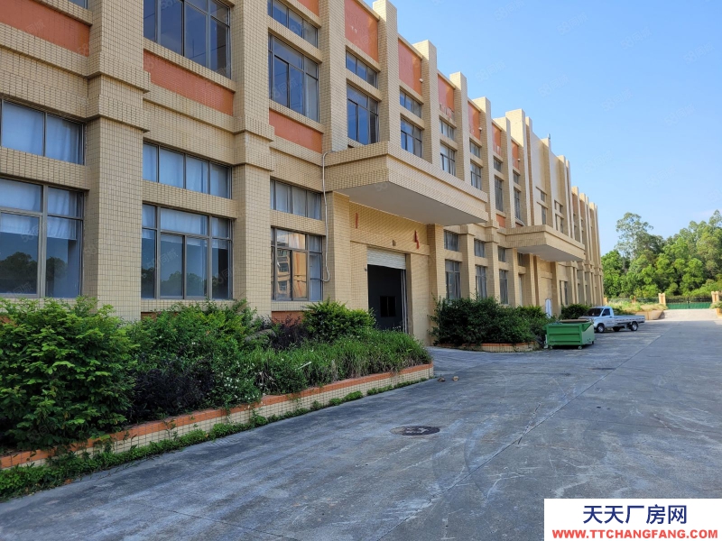 (出租) 汕頭濠江區(qū)河浦大道正規(guī)廠房,層高6米有大闊埕,近高速出口 可長租