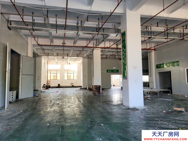 (出租) 汕頭濠江區河浦大道正規廠房，層高6米有大闊埕，近高速出口 可長租