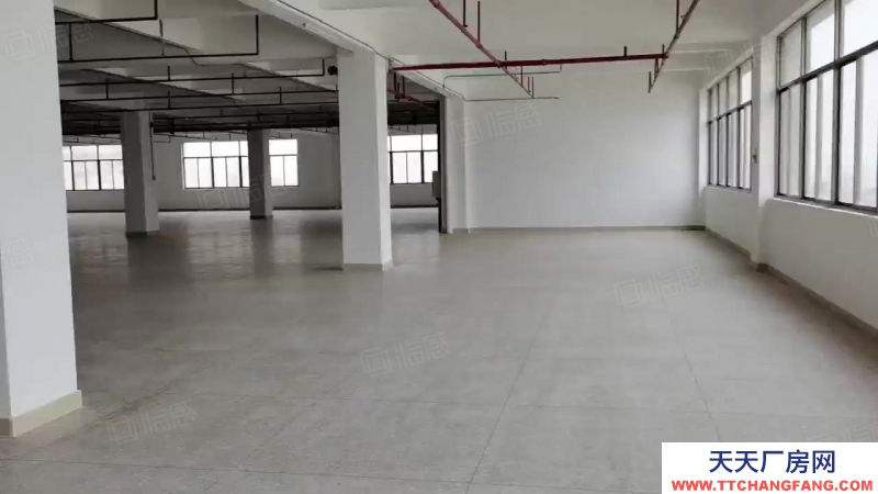 (出租) 汕頭和平鎮(zhèn)廠房一層過3000平方