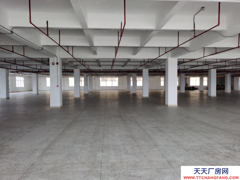 (出租) 汕頭和平鎮(zhèn)廠房一層過3000平方