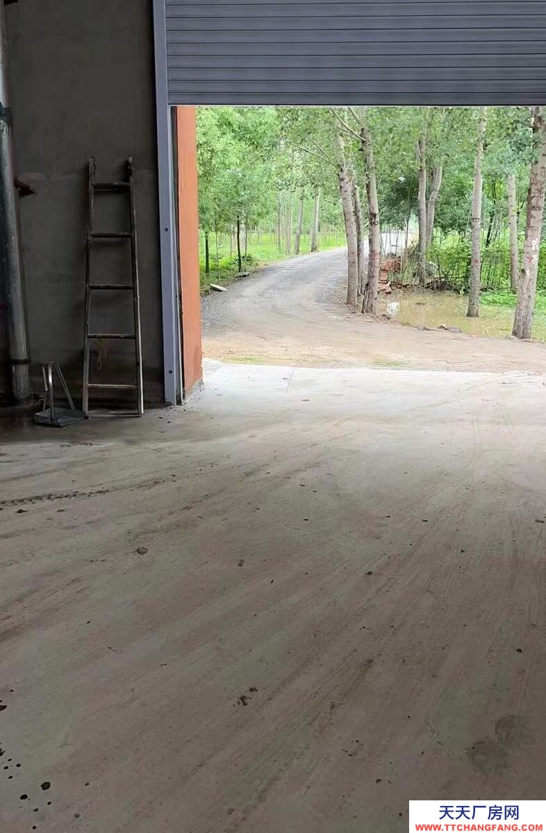 濱州無(wú)棣混凝土地面，隨意裝修，交通便利