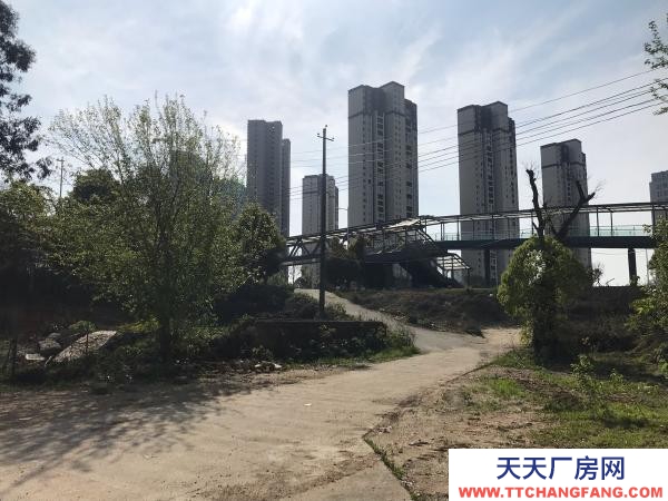 岳陽市汨羅區區大倉庫大住房出租