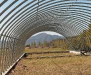 (出租) 蛟河天崗香水河村,獨(dú)門獨(dú)院