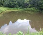 (出售) 蛟河天崗鎮周邊養殖基地