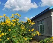 (出售) 主要是養殖用房，交通方便，位置好。