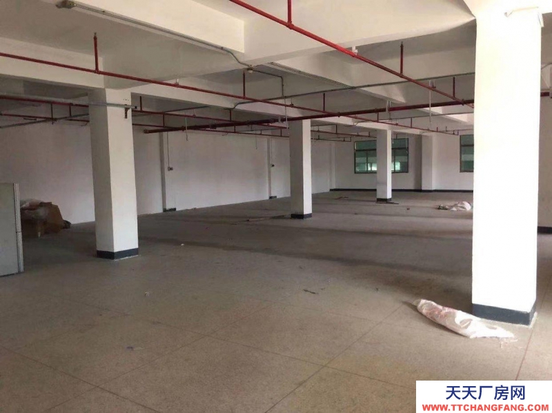 (出租) 汕頭廠房倉庫招租1-4樓 價格詳談
