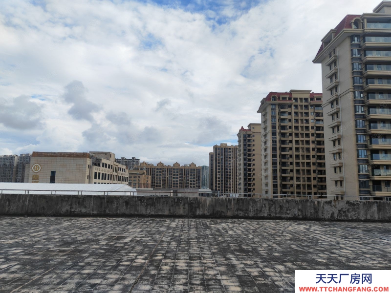 (出租) 汕頭潮汕路邊20畝三面路鋪面辦公倉庫13474平總租分租均可