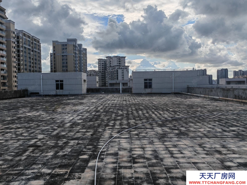 (出租) 汕頭潮汕路邊20畝三面路鋪面辦公倉庫13474平總租分租均可