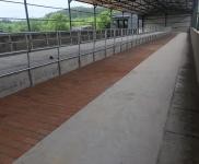 (出租) 倉庫、廠房、養牛棚出租