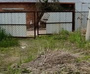 (出租) 舒蘭大街舒北一路舒蘭市煙草專賣局后面,面積1000余平米。