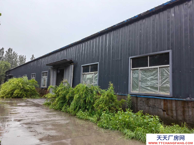 濱州出售博興城區一廠房獨院手續齊全