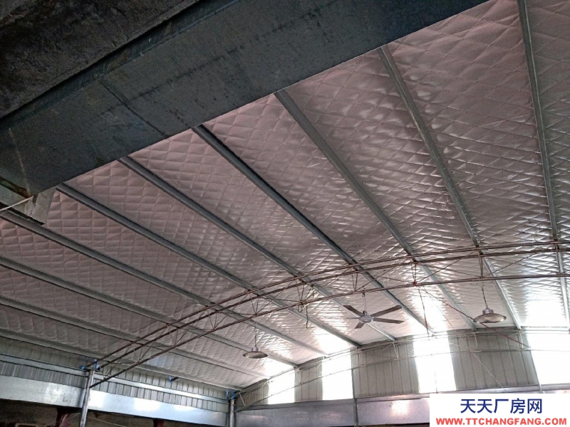 濱州博興 緊鄰公路，水電齊全，交通便利