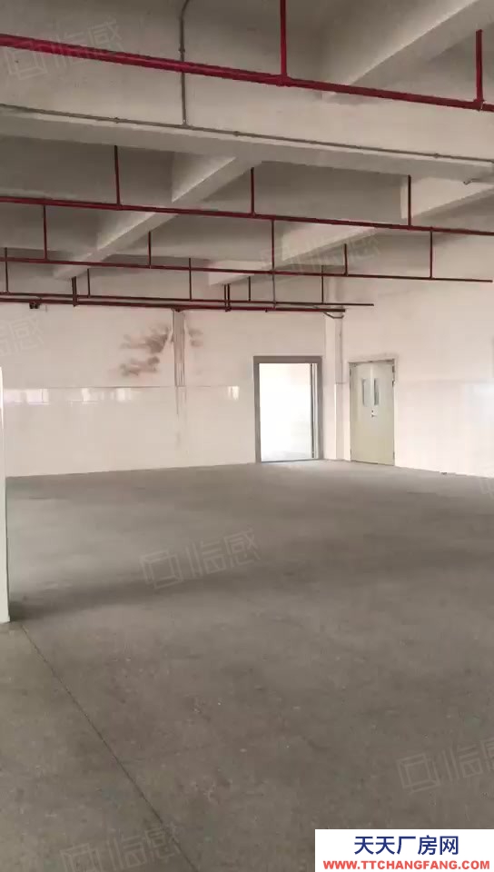 (出租) 汕頭和平新和惠路標準倉庫廠房一層5000平方