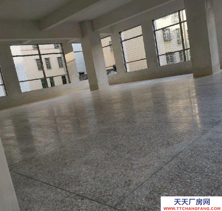 (出租) 汕頭出租下山虎蓋樓5層電梯房廠房倉庫