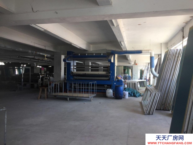 (出租) 汕頭混凝土結構，地面水磨石處理，交通方便，配集裝箱車裝卸平臺