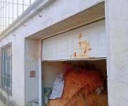 (出售) 鐵西價格面議；有房照；出售外環勤業三隊小二層1000平房子；