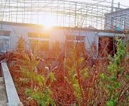 (出售) 鐵西價格面議；有房照；出售外環勤業三隊小二層1000平房子；