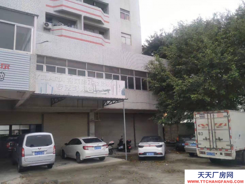 (出租) 汕頭濠江城區臨街倉庫廠房辦公宿舍