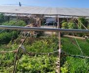 (出售) 鐵西正房120平房60平，有上下水豬圈暖棚