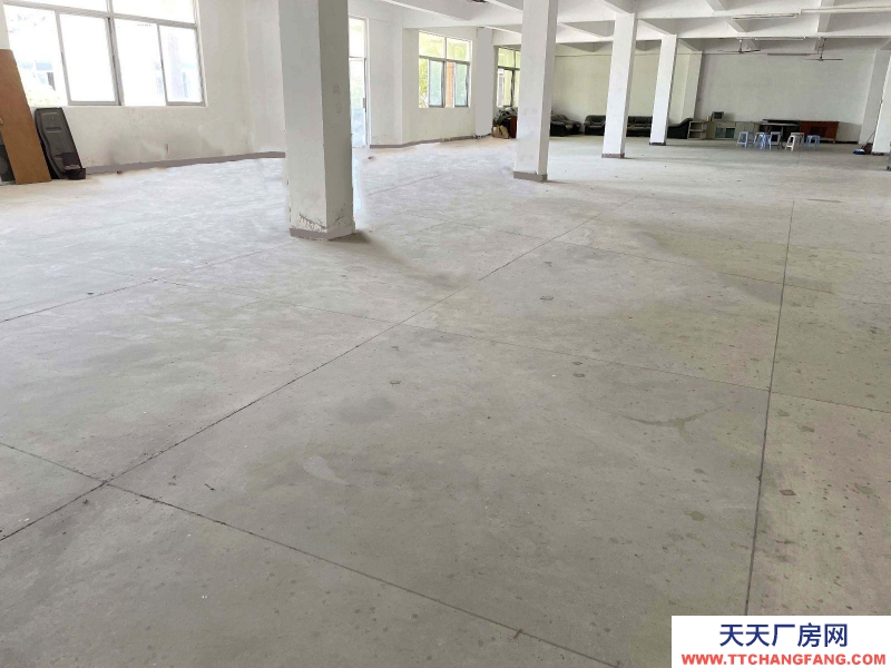 (出租) 汕頭濠江倉(cāng)庫(kù)內(nèi)有超大停車(chē)場(chǎng)