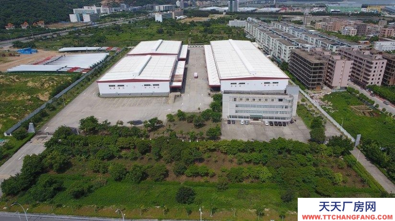 (出租) 汕頭國企倉庫，距離廣澳碼頭4公里