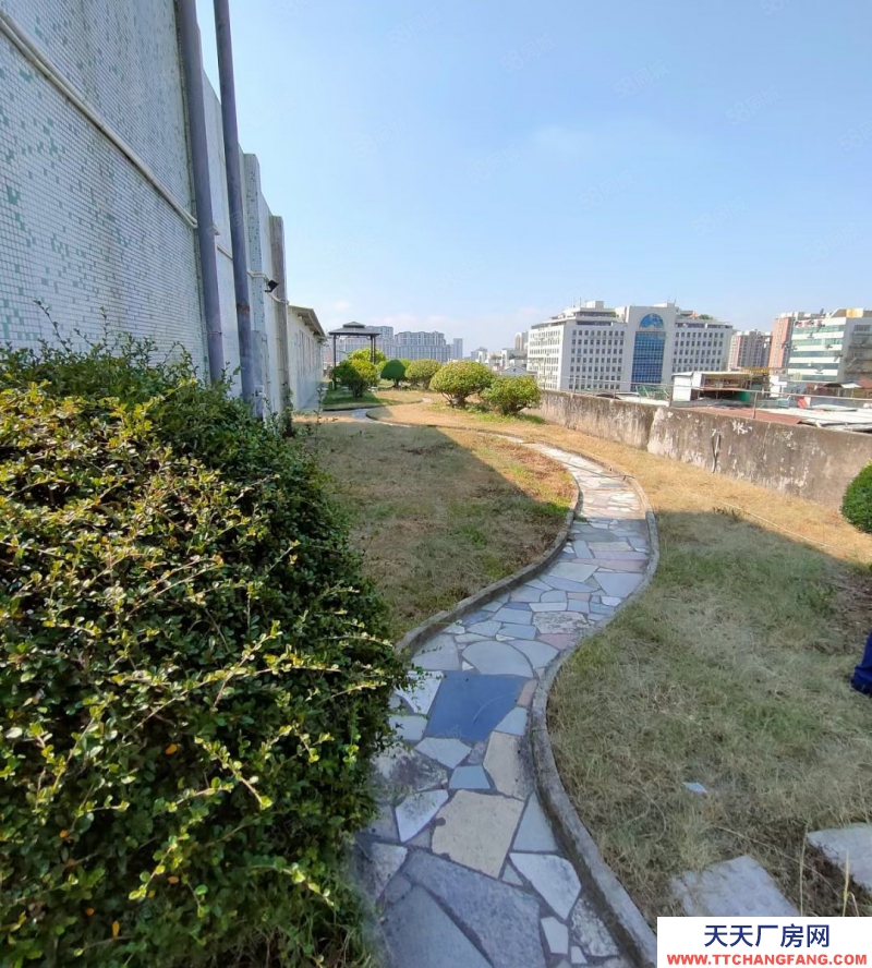 (出售) 汕頭衡山路 御景江南對面 電梯8樓 帶天面一層 實(shí)用面積大