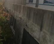 (出租) 出租四平鐵西太平溝七隊 農村大院