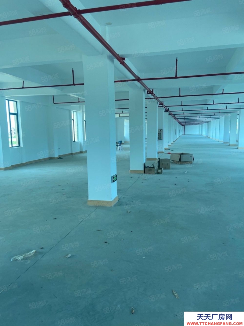 (出售) 高新區(qū)4樓2700平方正歸廠房平方5500元.