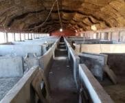 (出租) 梨樹大型養殖場出租 出售