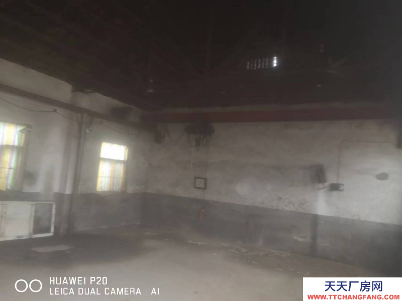 萊蕪個(gè)人廠房，可工業(yè)，可辦公，高莊大北冶村。國道附近。