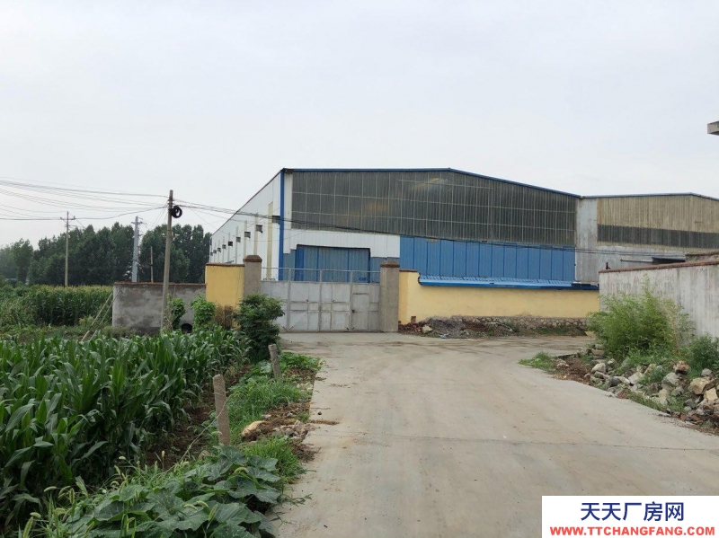 萊蕪西收費(fèi)站廠房出租1500平