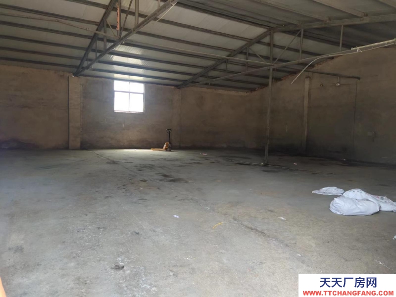 萊蕪出租鋼城區廠房 位置優越 靠近萊蕪區 交通便利