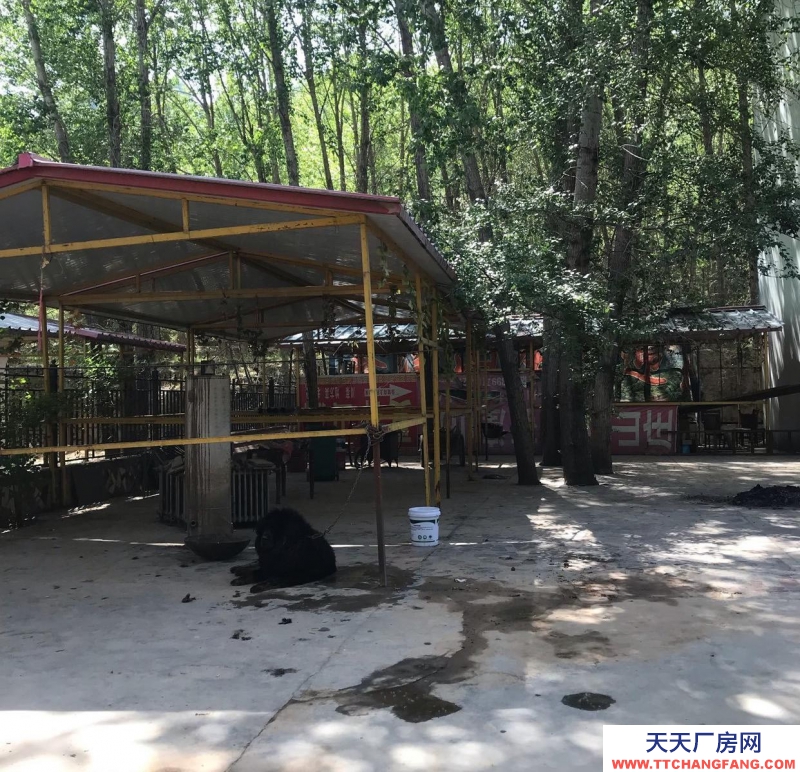 西寧獨(dú)立小院 占地兩畝 交通便利 院外有單獨(dú)的停車場