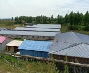 (出租) 東豐占地三萬平,有多間育豬廠房自動化設備,大片空地!