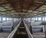 (出租) 東豐占地三萬平,有多間育豬廠房自動化設備,大片空地!